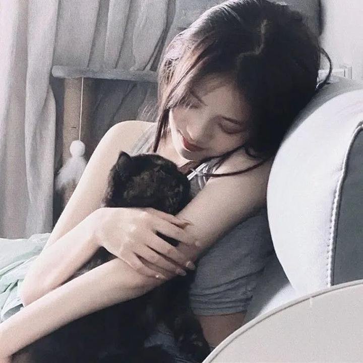 鲨鱼的儿子